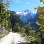 Peter Egger Daire Gosau