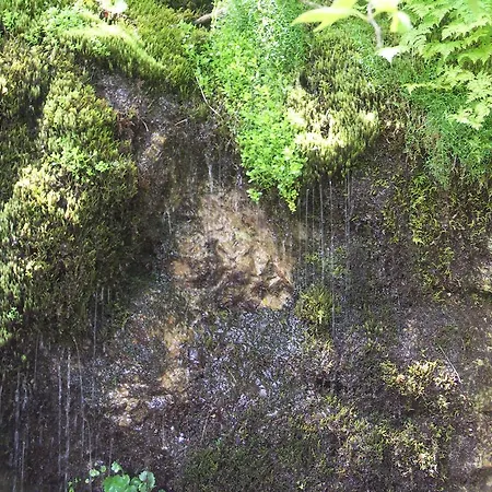 Lejlighed Peter Egger *