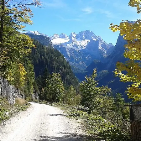 Peter Egger Appartement Gosau