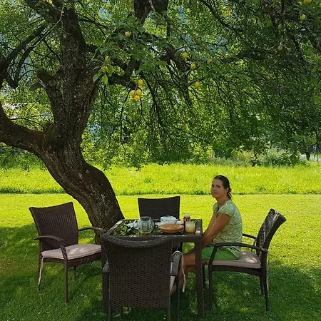 Peter Egger Apartmán Gosau