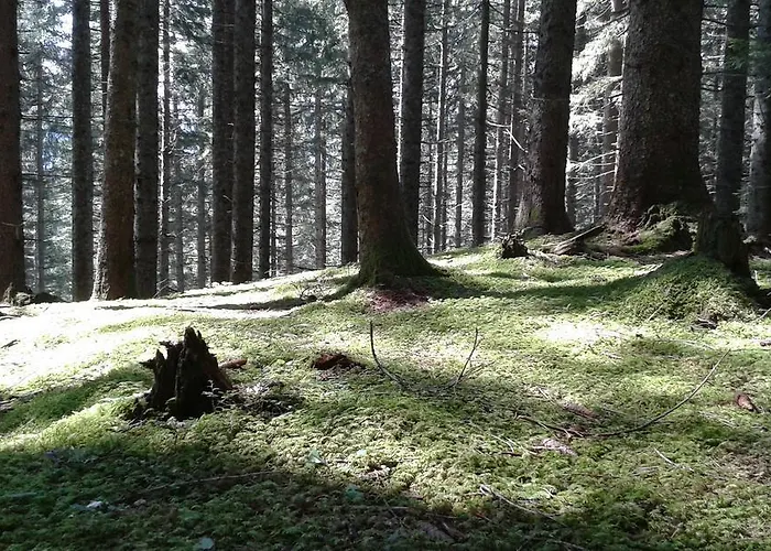 Peter Egger غوساو