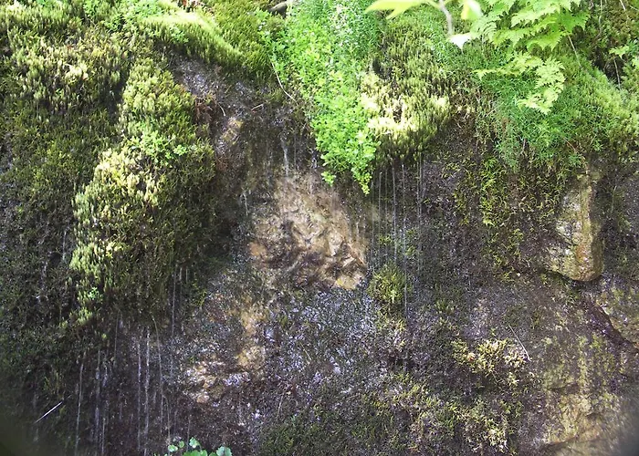 شقة Peter Egger *